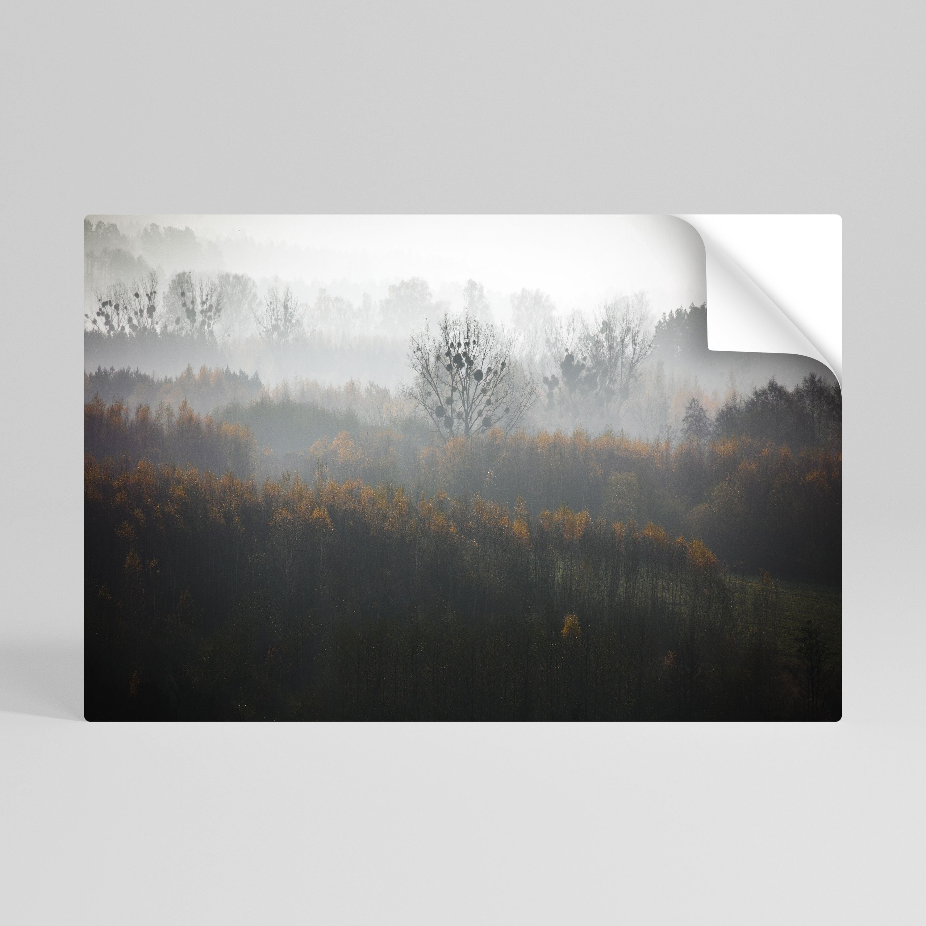 AUTUMNAL HAZE Horizontales Poster zum Abziehen und Aufkleben
