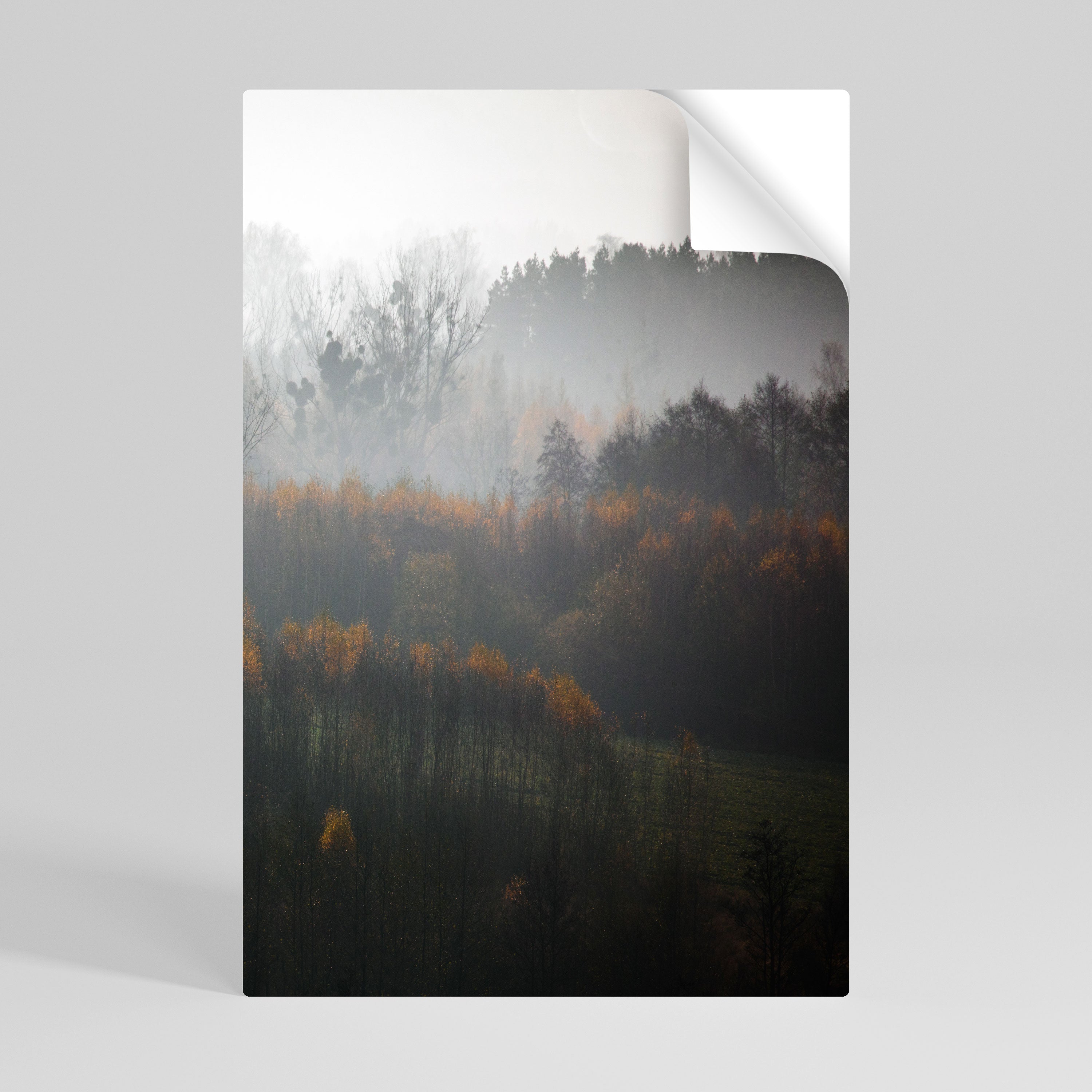 AUTUMNAL HAZE Vertikales Poster zum Abziehen und Aufkleben