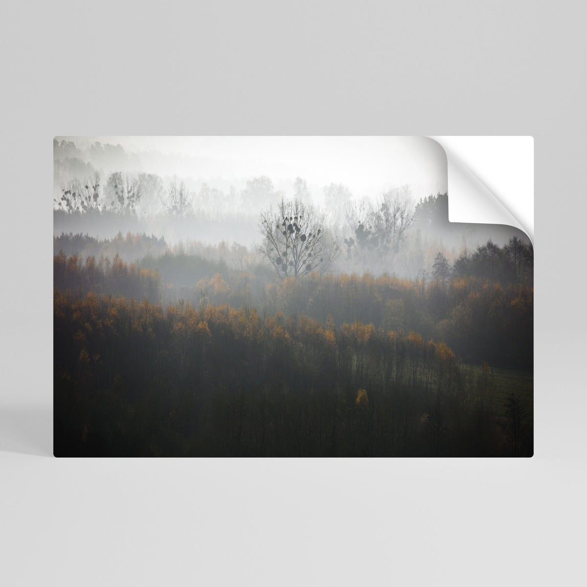 AUTUMNAL HAZE Peel and Stick Horizontal Poster