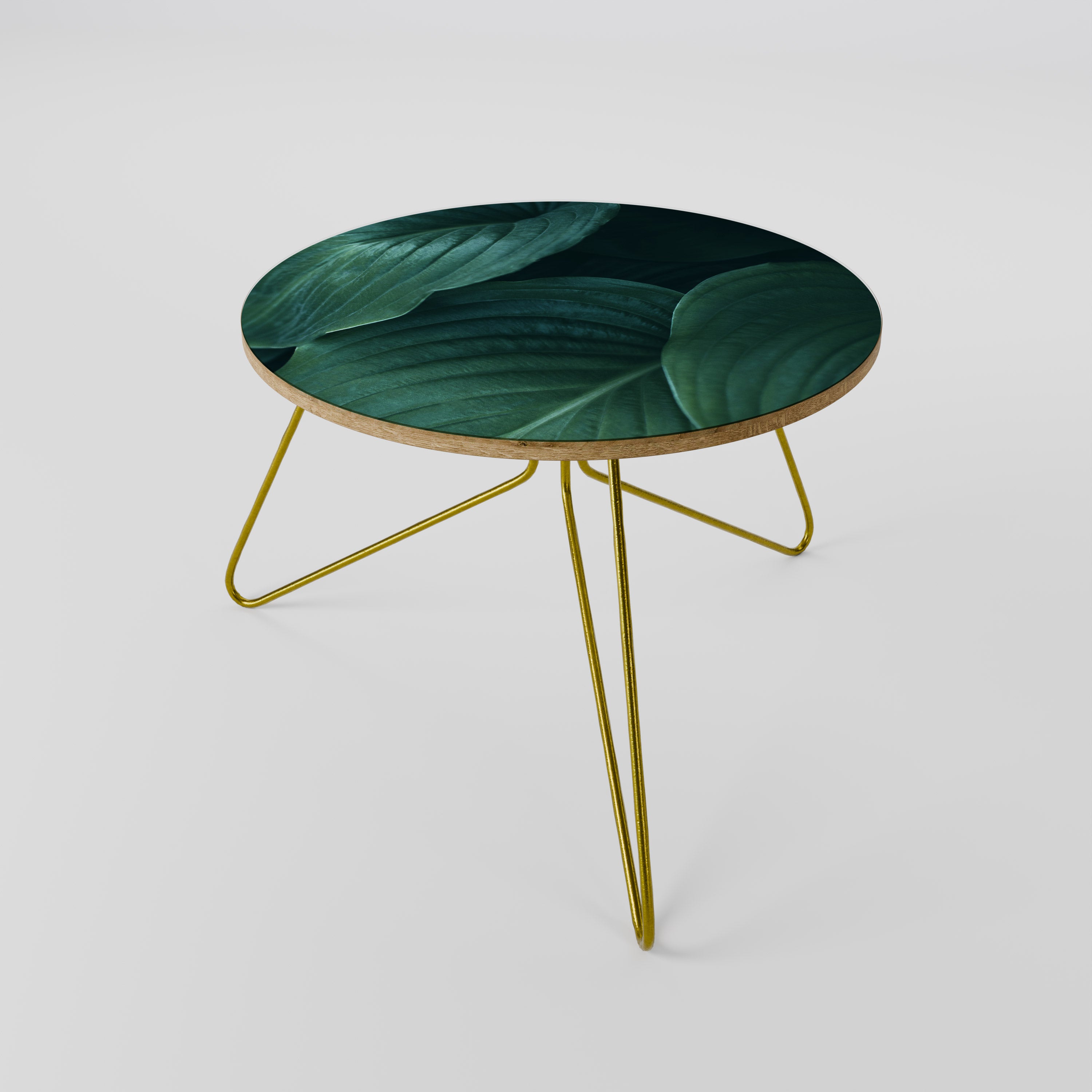 SUBTLE BOTANICAL HUES Coffee Table