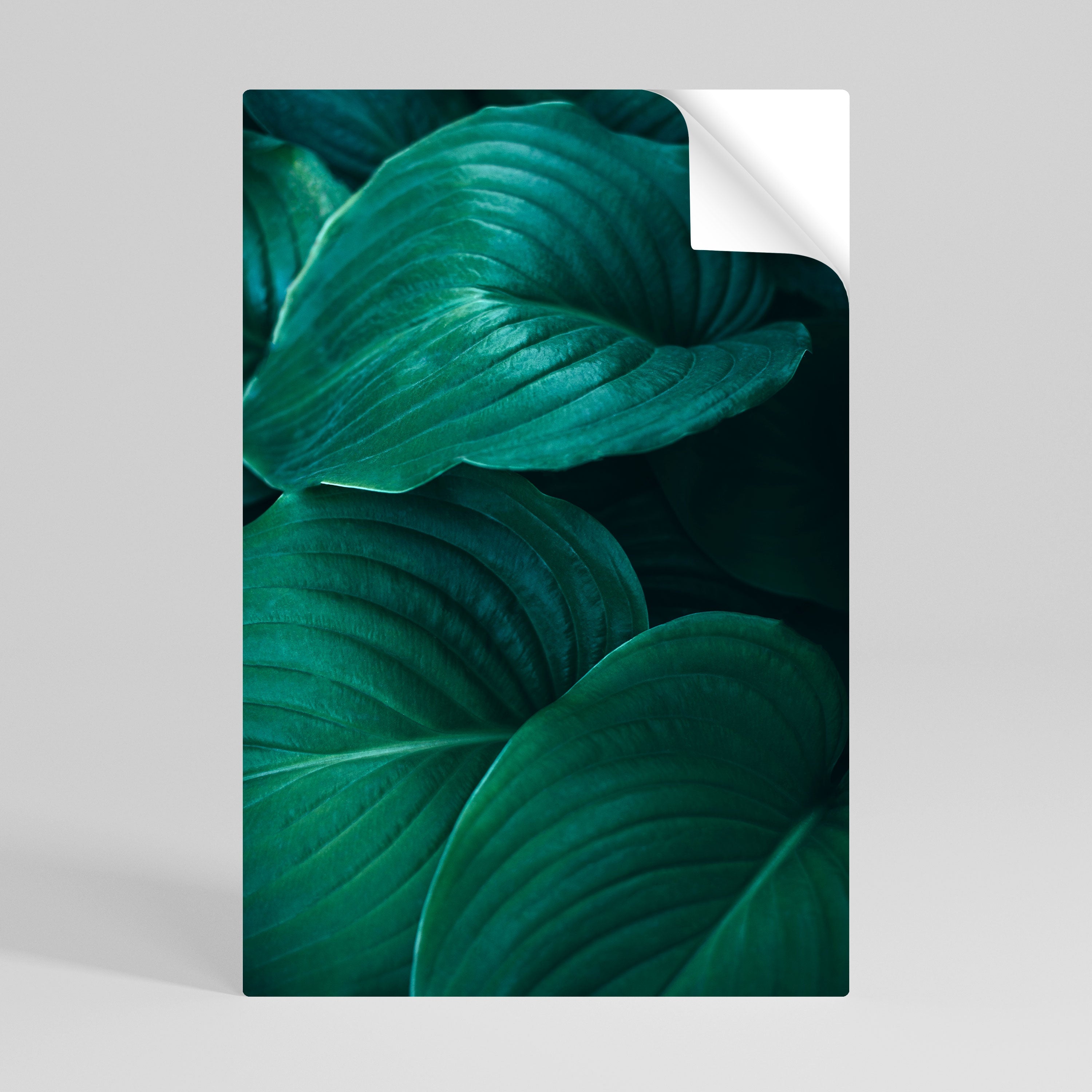 Subtile botanische Farbtöne – Vertikales Poster zum Abziehen und Aufkleben