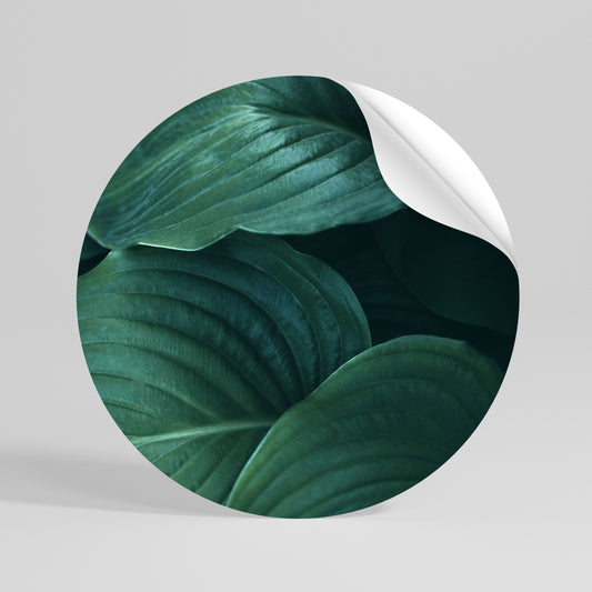SUBTLE BOTANICAL HUES Runder Wandsticker zum Abziehen und Aufkleben