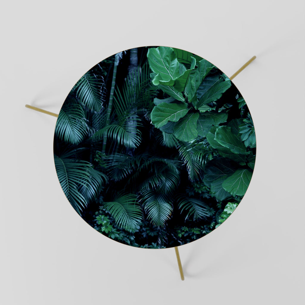 DEEP JUNGLE SERENADE Couchtisch 60