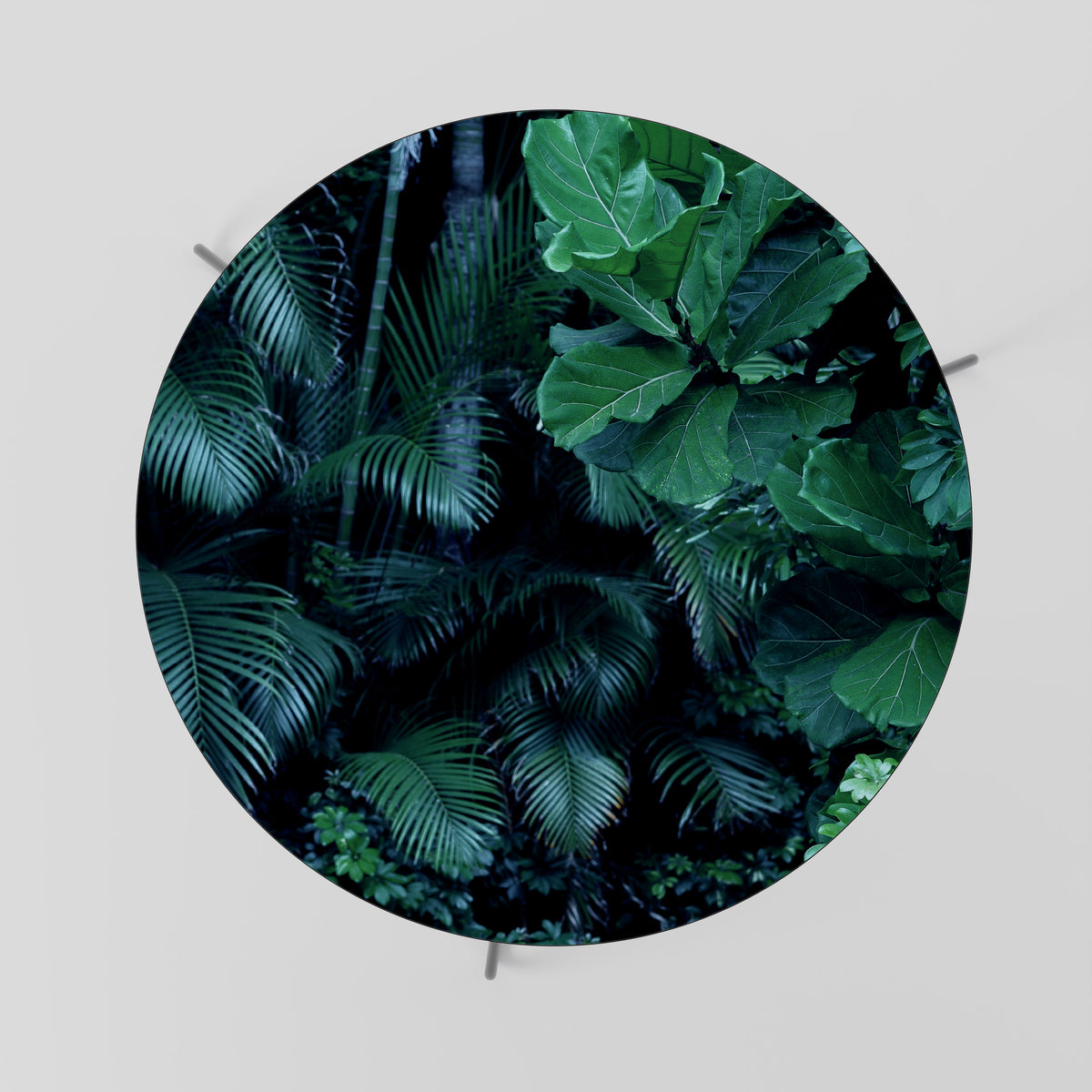DEEP JUNGLE SERENADE Couchtisch