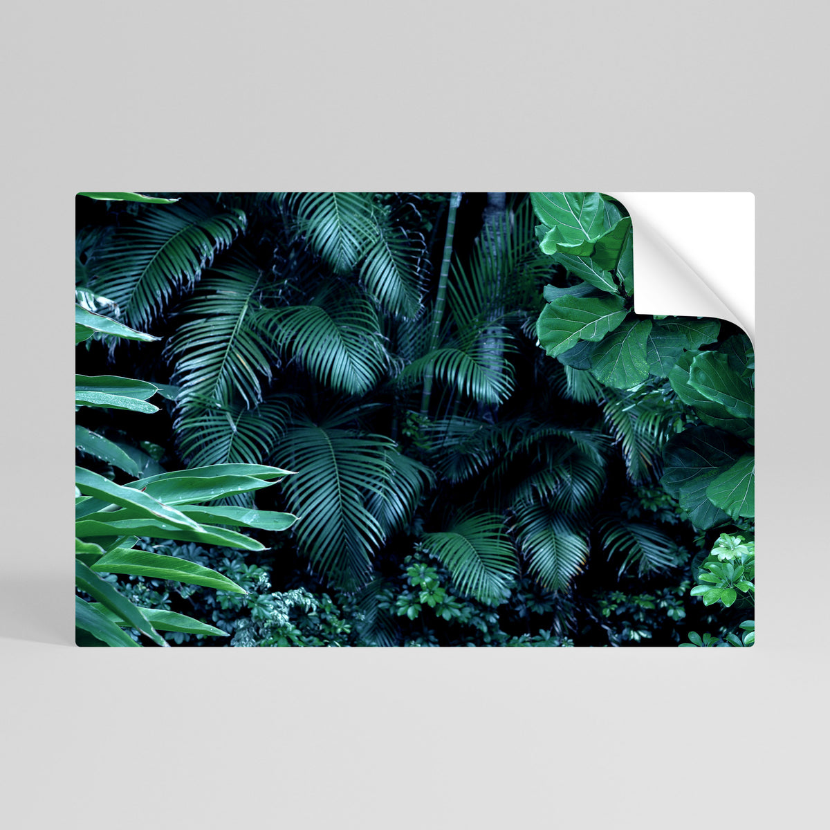 DEEP JUNGLE SERENADE Selbstklebendes Horizontal-Poster