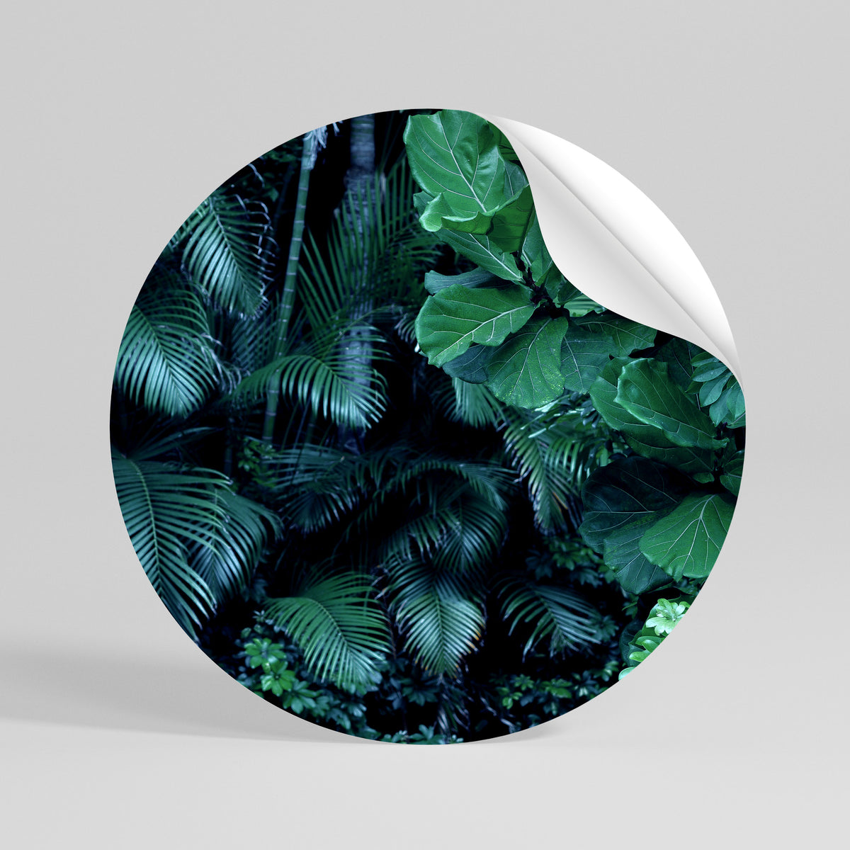 DEEP JUNGLE SERENADE Runder Wandsticker zum Abziehen und Aufkleben