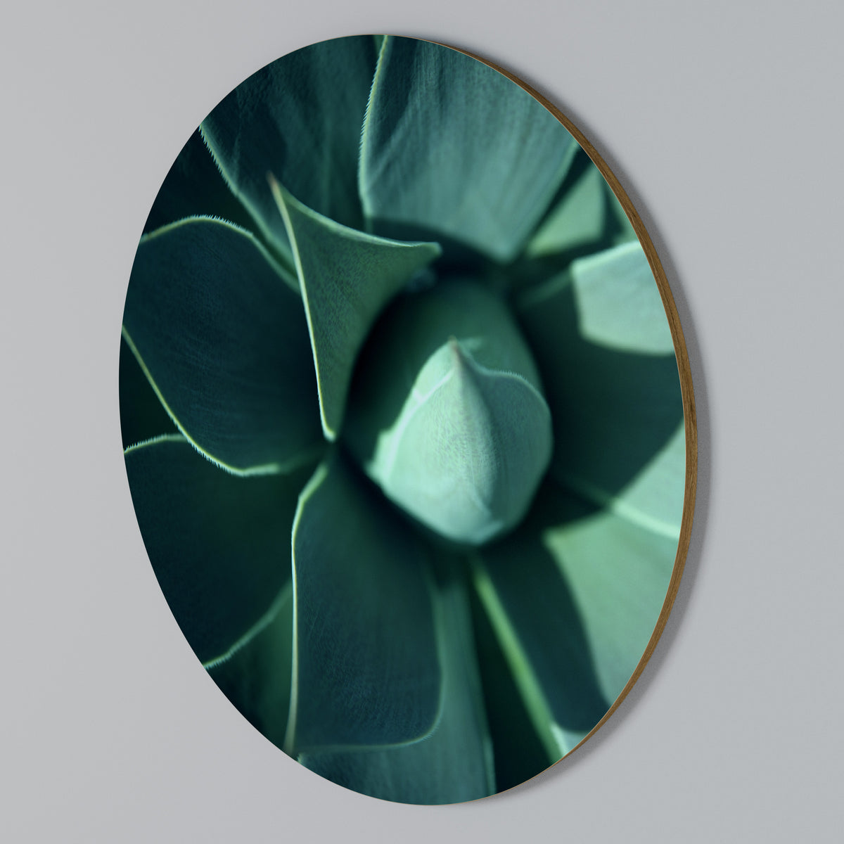 MYSTICAL GREEN WHORL Round Wall Art