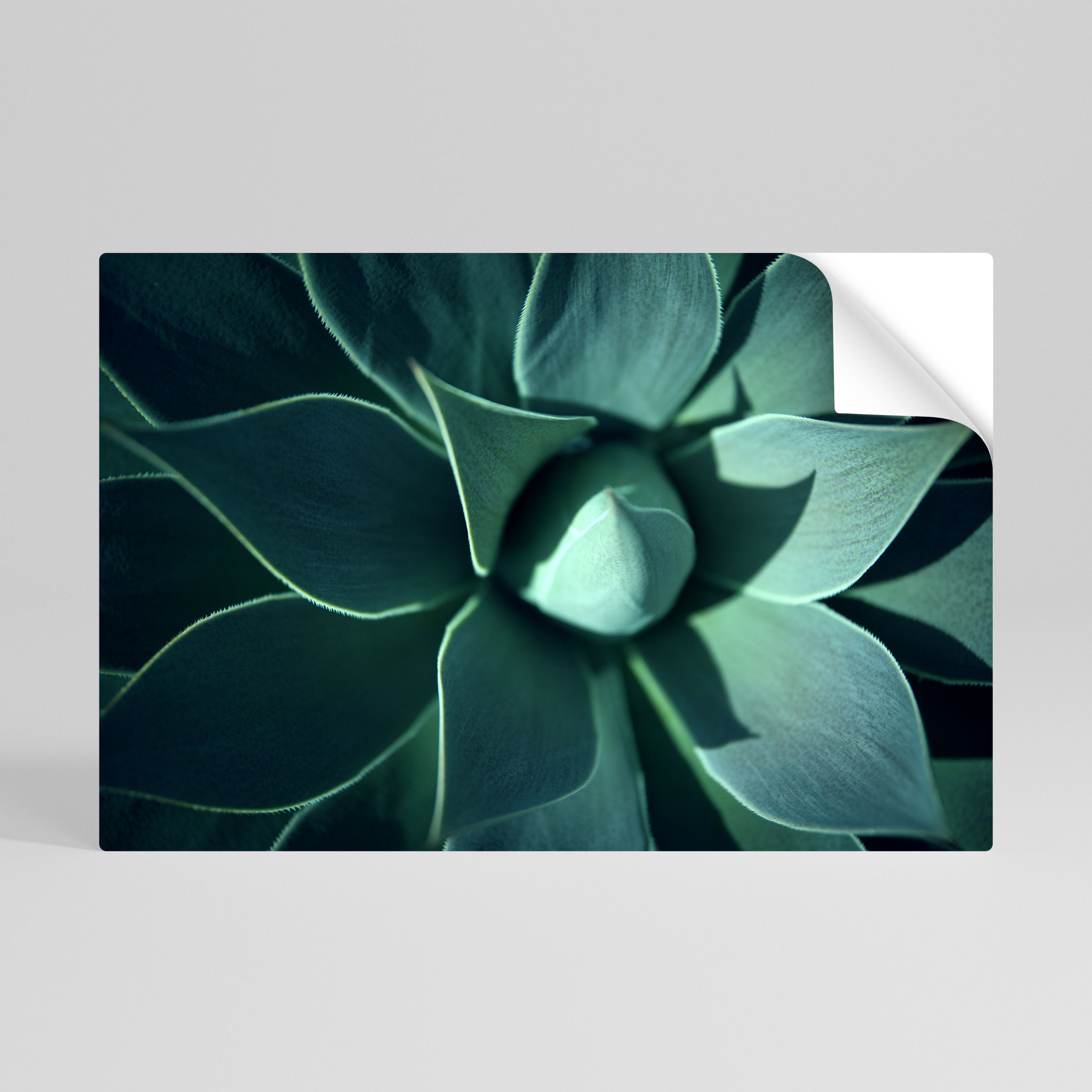 MYSTICAL GREEN WHORL Horizontales Poster zum Abziehen und Aufkleben