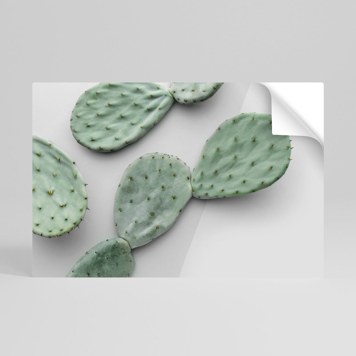 CACTUS DREAMSCAPE Selbstklebendes Horizontal-Poster