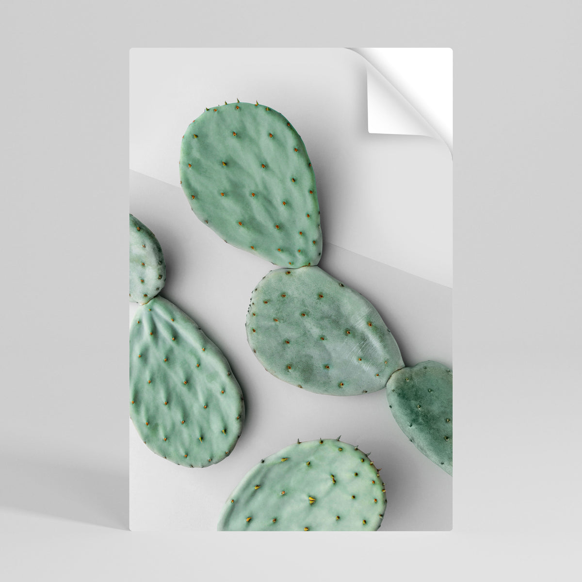 CACTUS DREAMSCAPE Selbstklebendes Poster - Hochformat