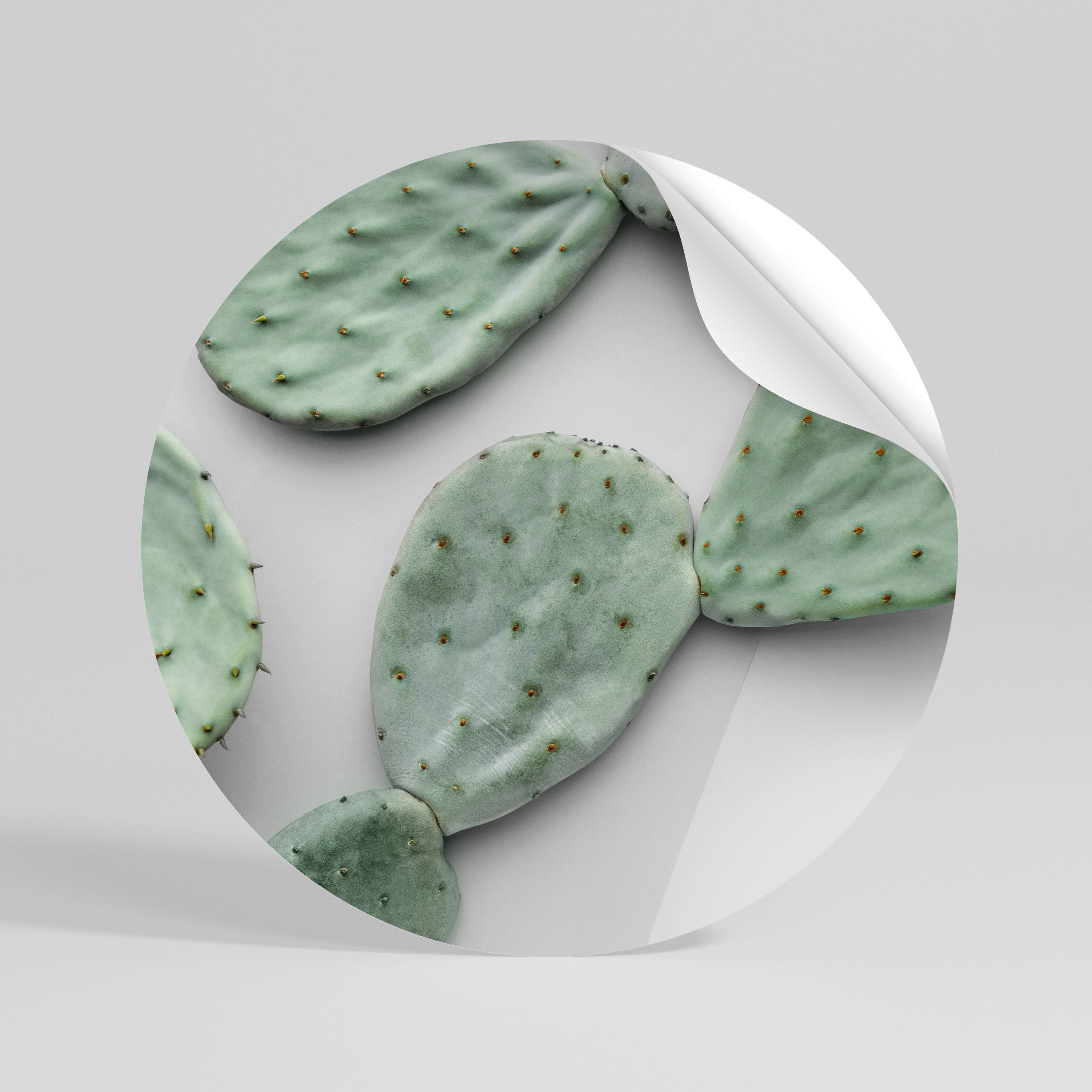 CACTUS DREAMSCAPE Runder Wandsticker zum Abziehen und Aufkleben