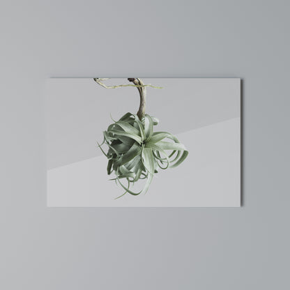 TANGLE OF NATURE Horizontal Canvas Print