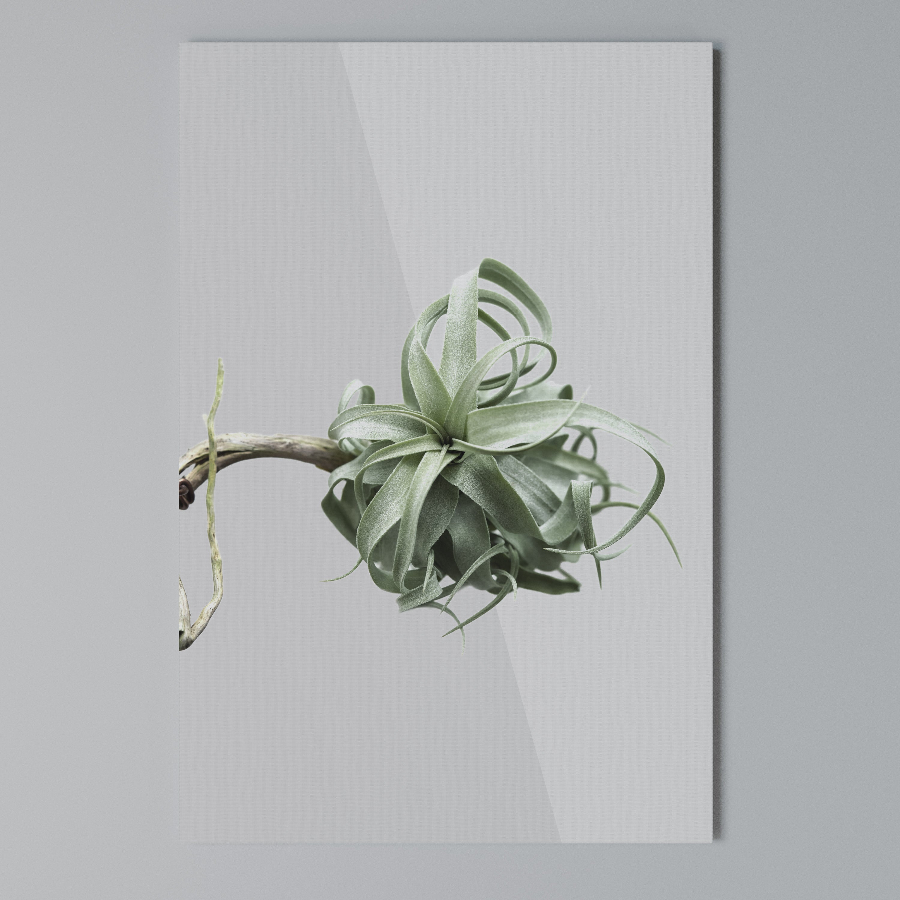 TANGLE OF NATURE Vertical Canvas Print