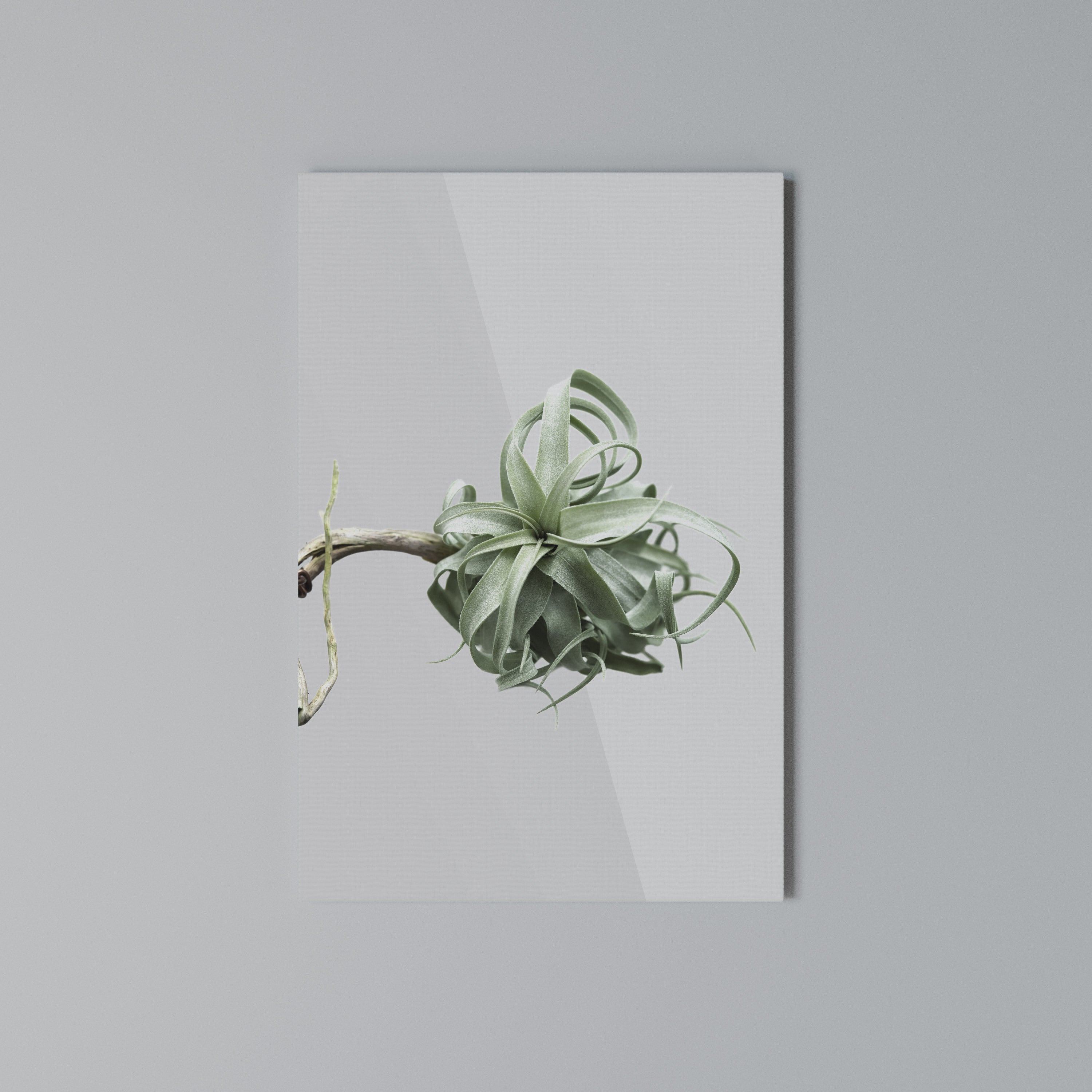 TANGLE OF NATURE Vertical Canvas Print