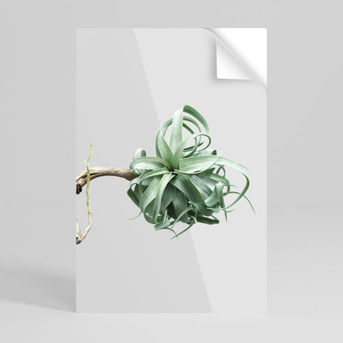 TANGLE OF NATURE Selbstklebendes Poster - Hochformat