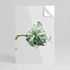 TANGLE OF NATURE Selbstklebendes Poster - Hochformat