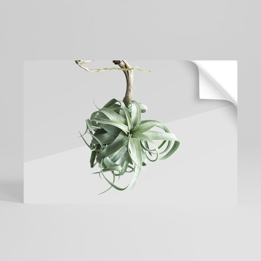 TANGLE OF NATURE Selbstklebendes Horizontal-Poster