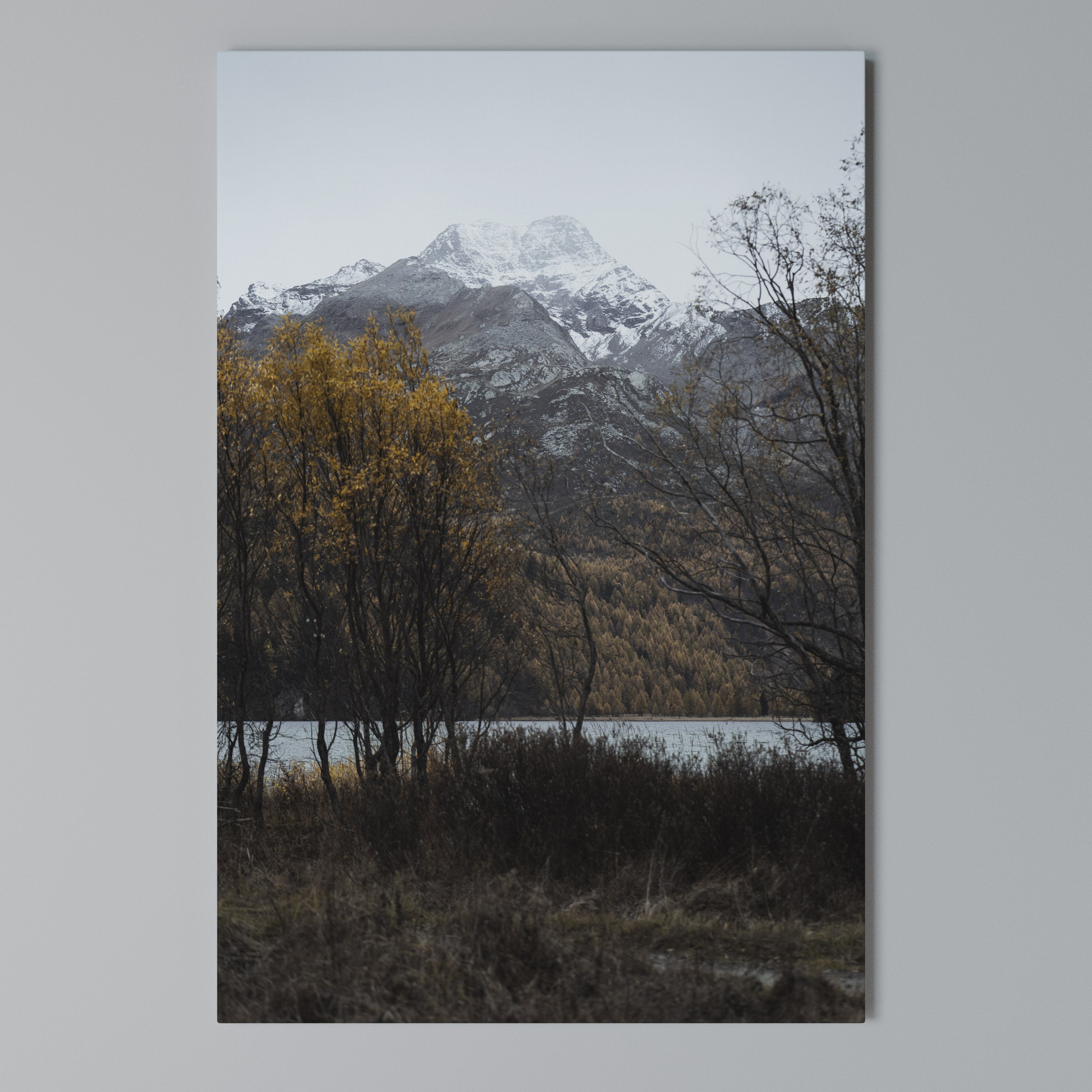 AUTUMN'S SILENT EMBRACE Vertical Canvas Print