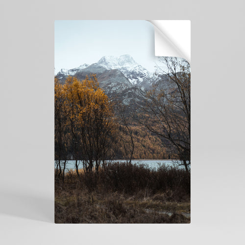 AUTUMN'S SILENT EMBRACE Selbstklebendes Poster - Hochformat