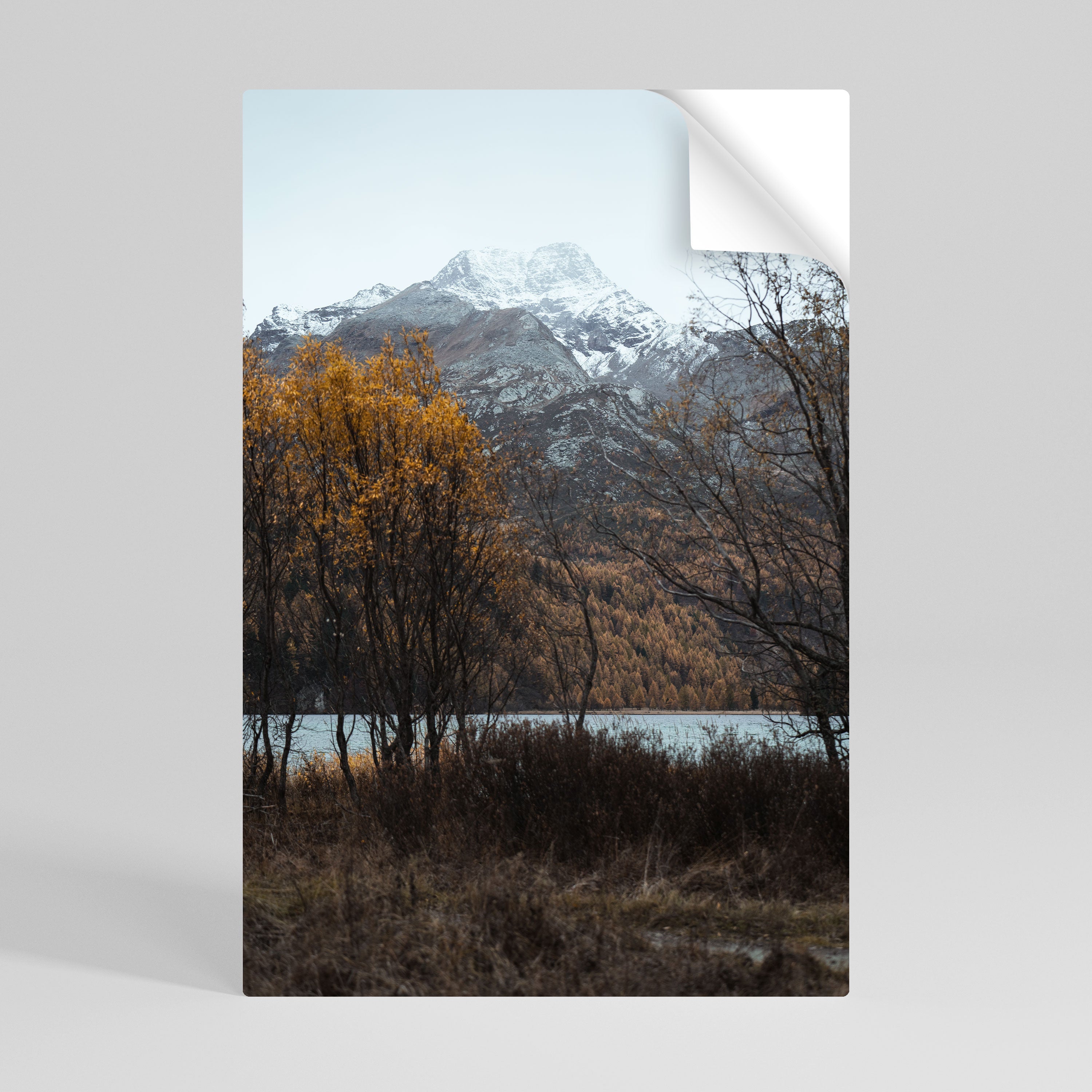 AUTUMN'S SILENT EMBRACE Vertikales Poster zum Abziehen und Aufkleben
