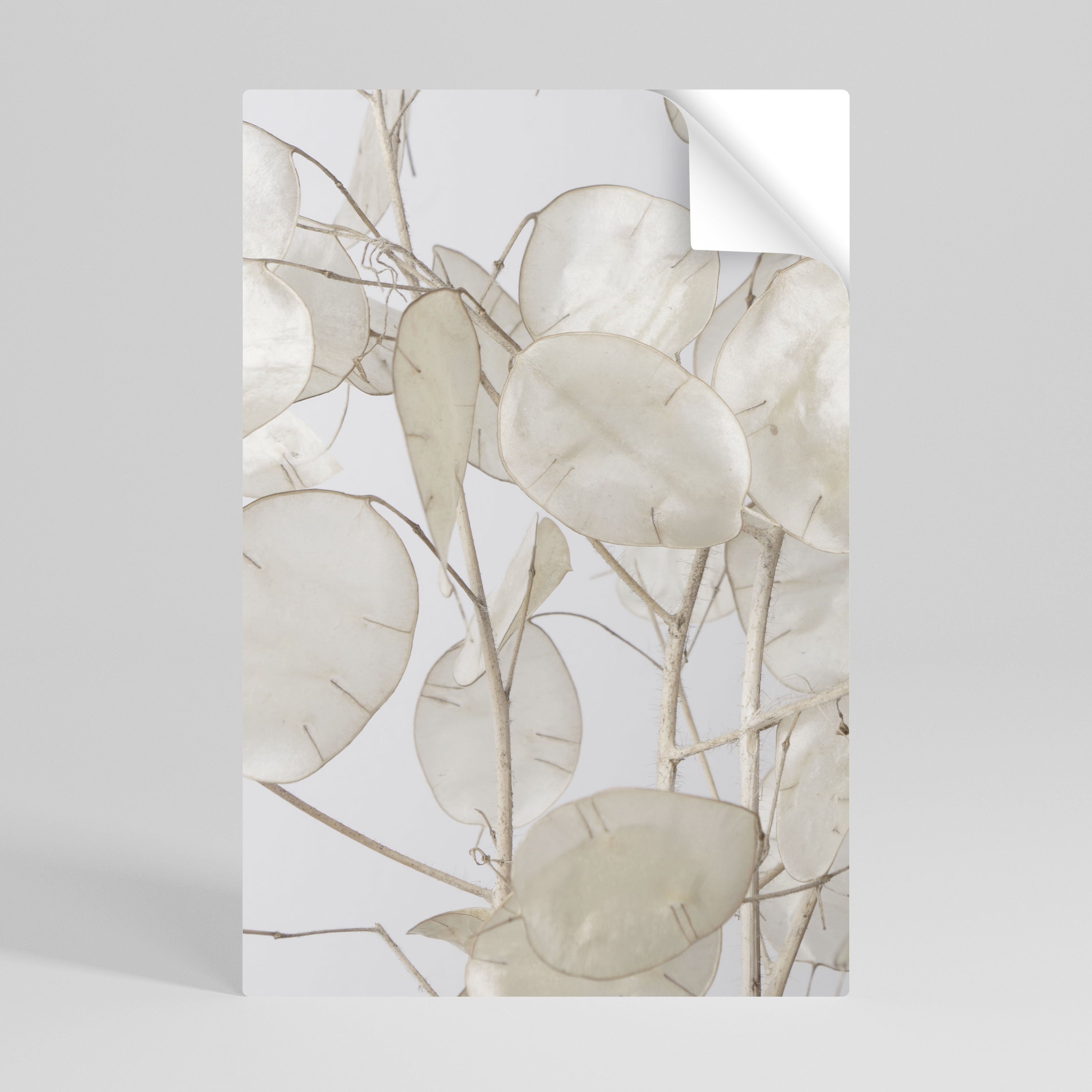 SILKY FOLIAGE WHISPERS Peel and Stick Vertical Poster