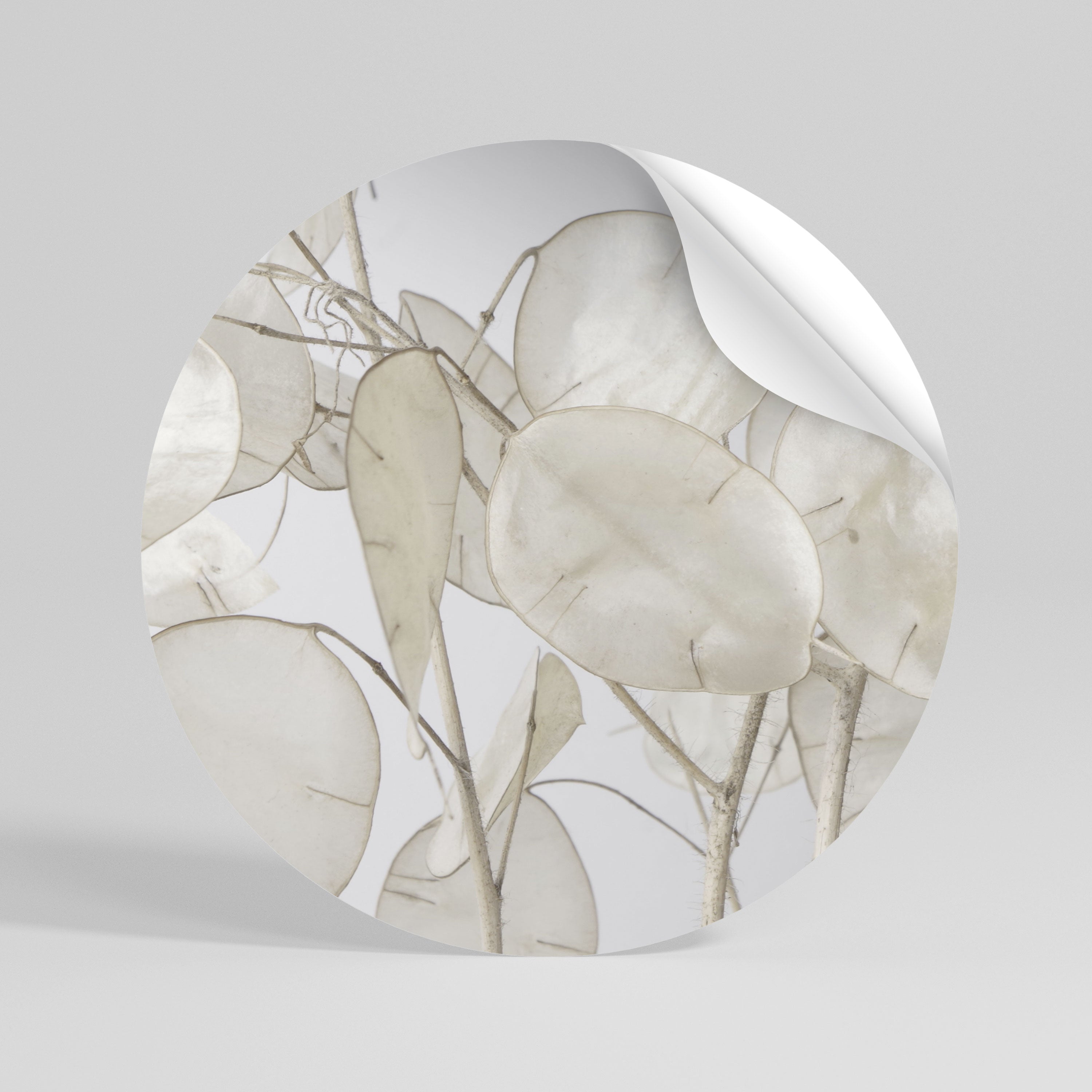 SILKY FOLIAGE WHISPERS Runder Wandsticker zum Abziehen und Aufkleben