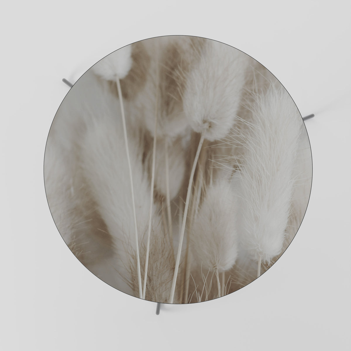 SOFTNESS IN FOCUS Couchtisch