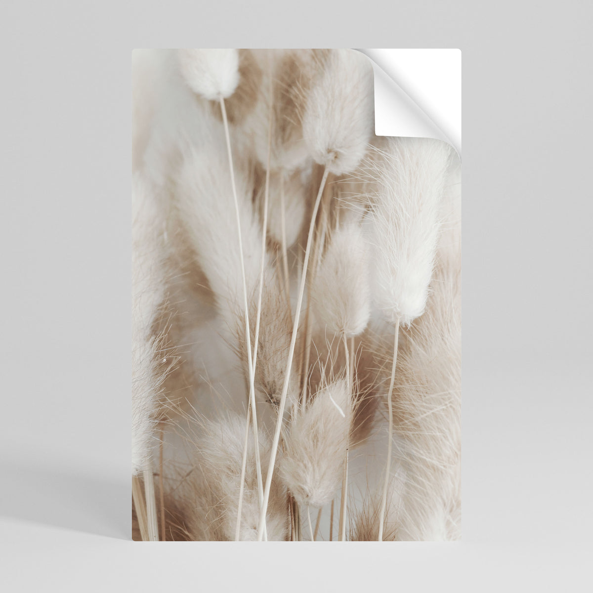 SOFTNESS IN FOCUS Selbstklebendes Poster - Hochformat