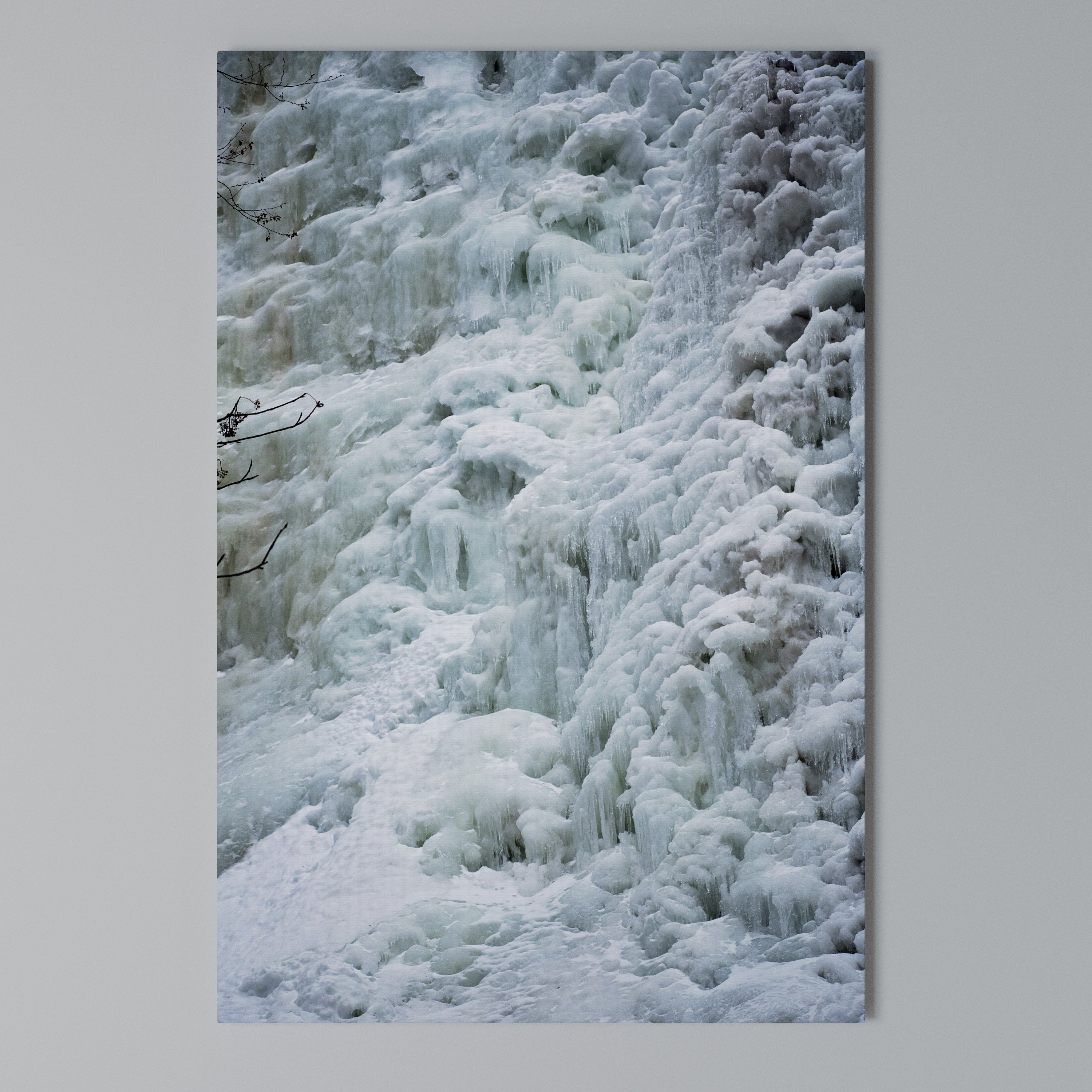 FROSTED WHISPERS Vertical Canvas Print