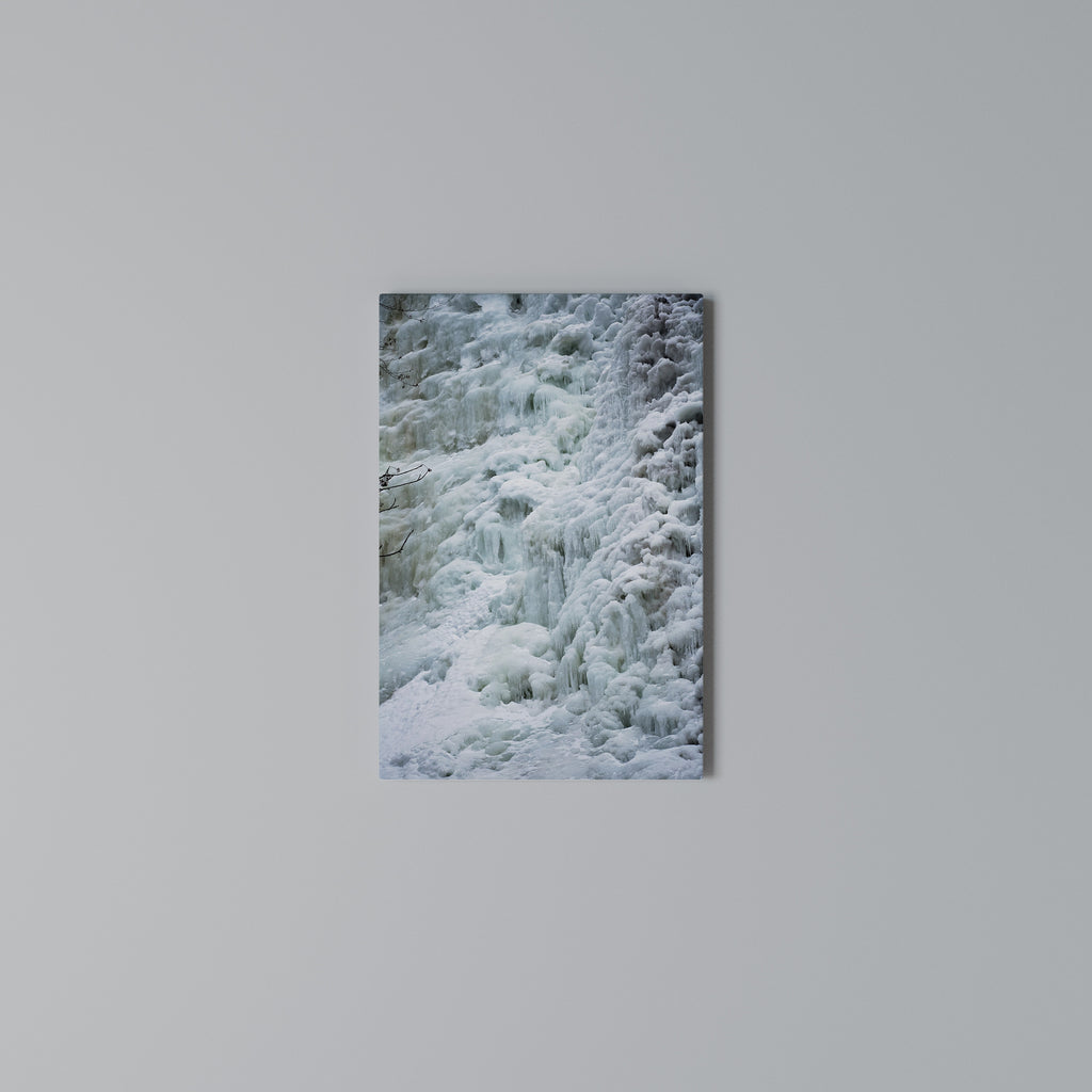 FROSTED WHISPERS Vertical Canvas Print