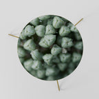 TEXTURED GREEN TIDBITS Coffee Table 60