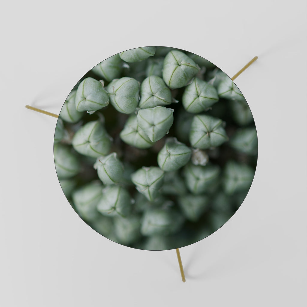Couchtisch 60 TIDBITS TEXTURED GREEN