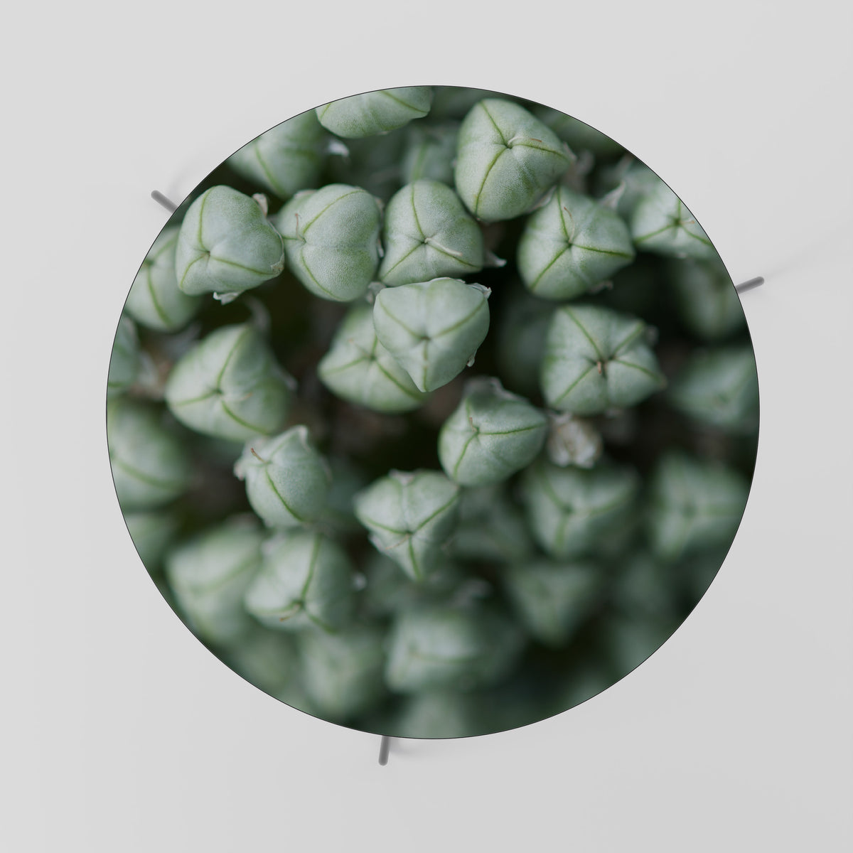 TEXTURED GREEN TIDBITS Couchtisch