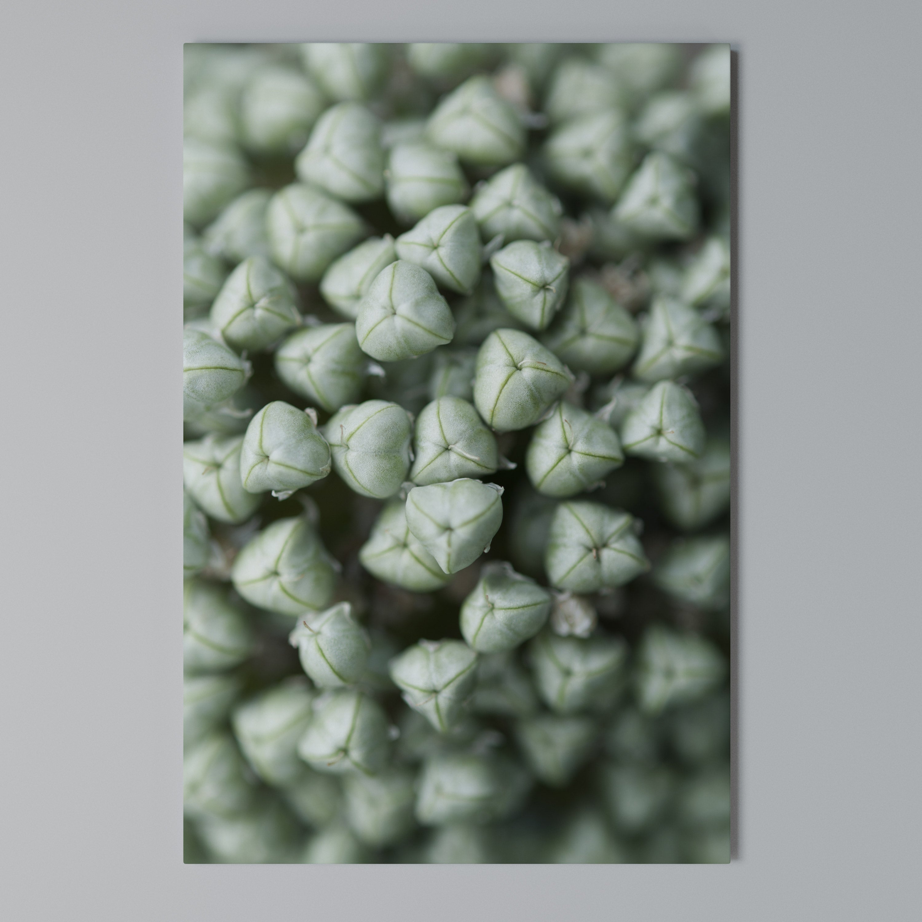TEXTURED GREEN TIDBITS Vertical Canvas Print