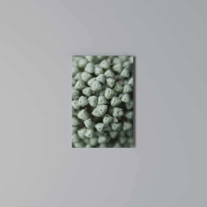 TEXTURED GREEN TIDBITS Vertical Canvas Print