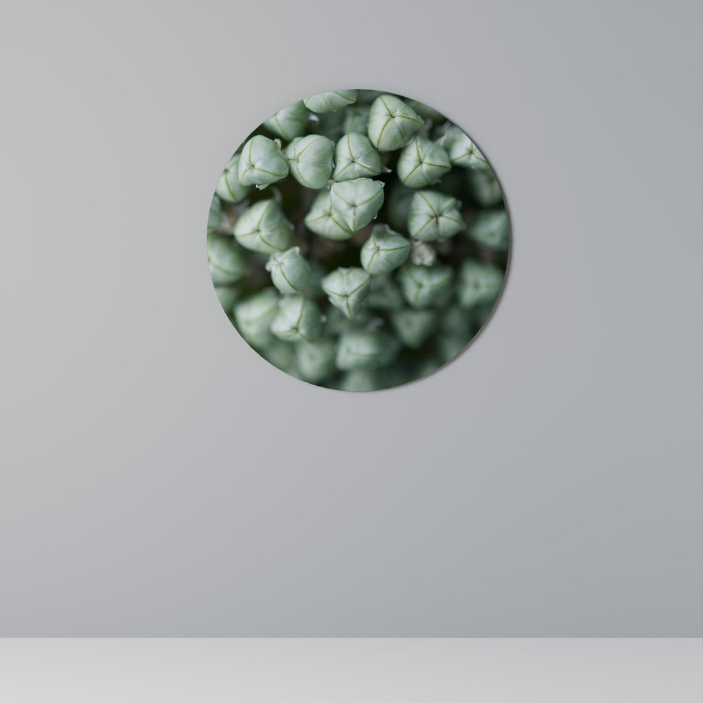 TEXTURED GREEN TIDBITS Runde Wanddekoration Ø 69 cm