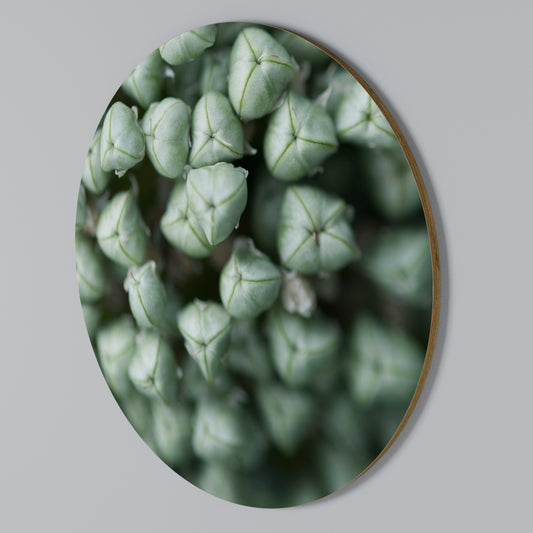 TEXTURED GREEN TIDBITS Rundes Wandbild