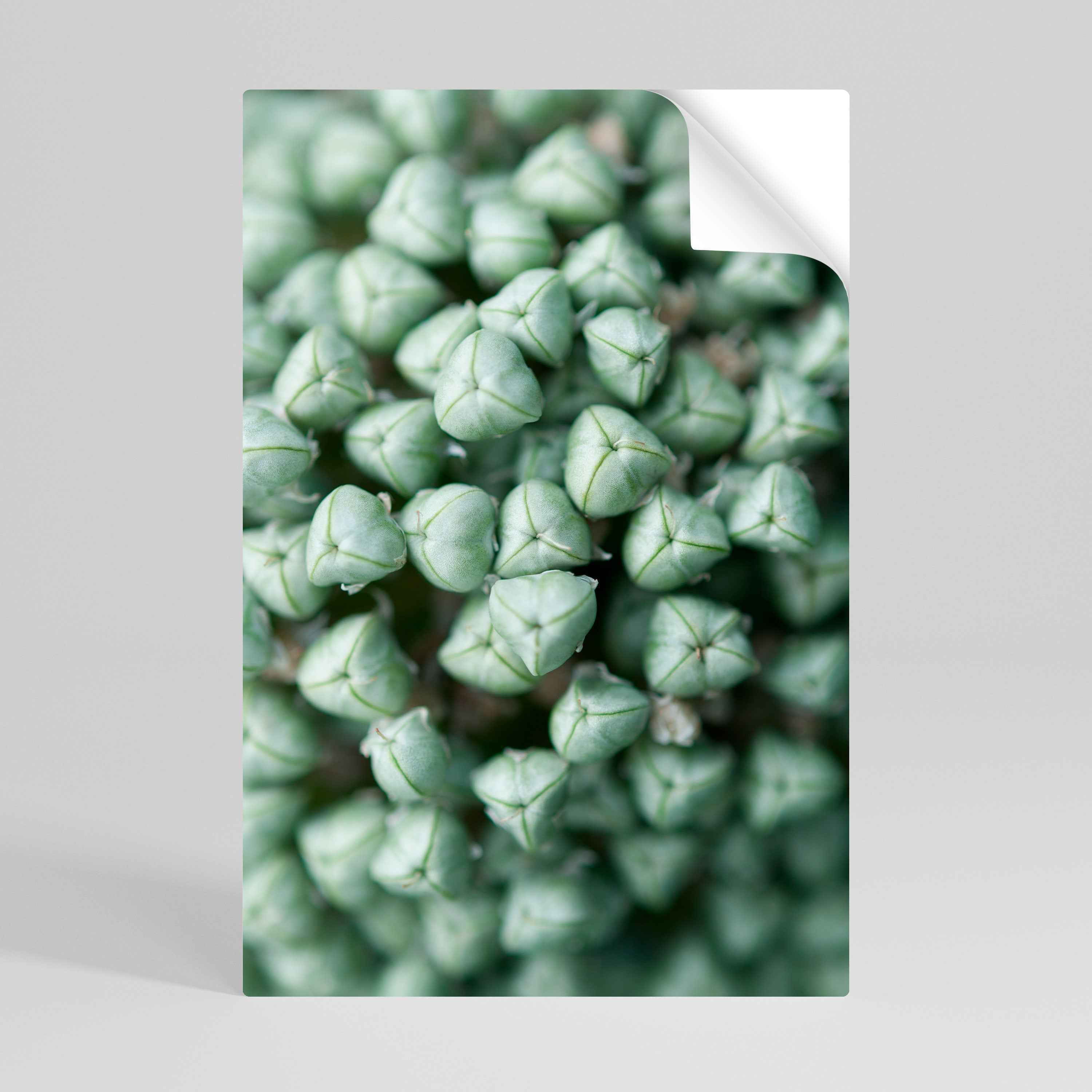 TEXTURED GREEN TIDBITS Vertikales Poster zum Abziehen und Aufkleben