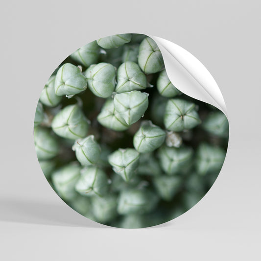 TEXTURED GREEN TIDBITS Runder Wandsticker zum Abziehen und Aufkleben