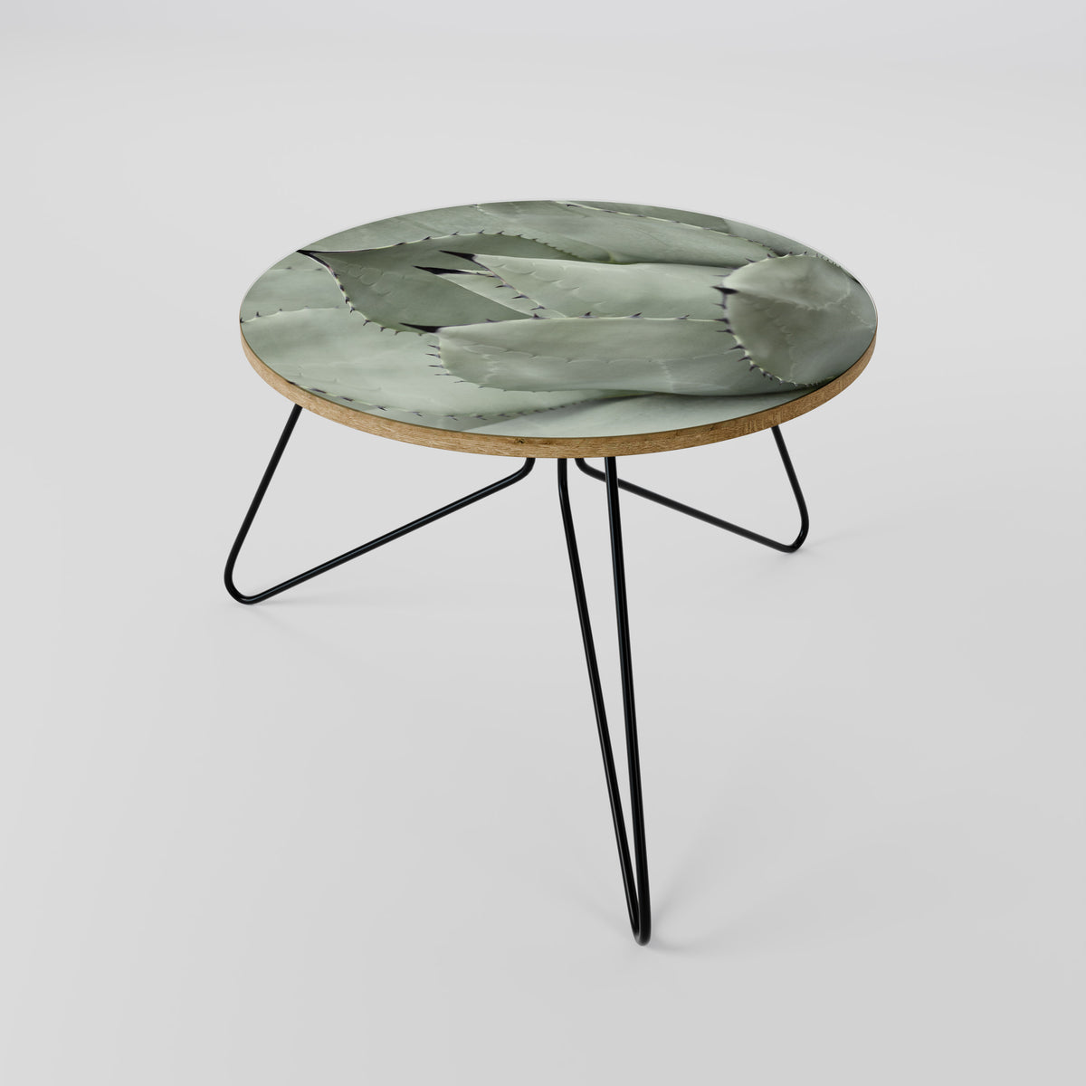 MYSTICAL SUCCULENT DREAM Coffee Table