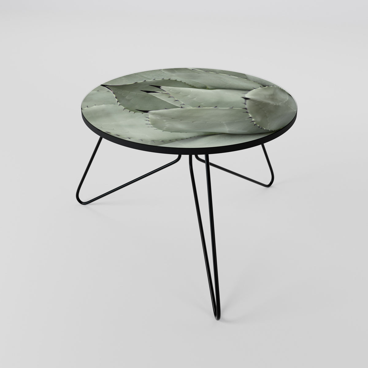MYSTICAL SUCCULENT DREAM Coffee Table