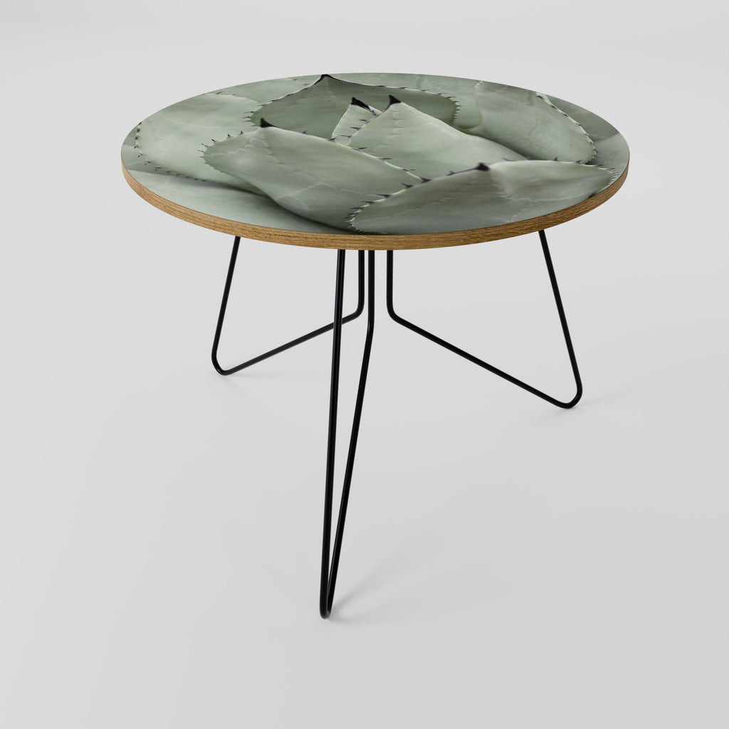 MYSTICAL SUCCULENT DREAM Coffee Table 69