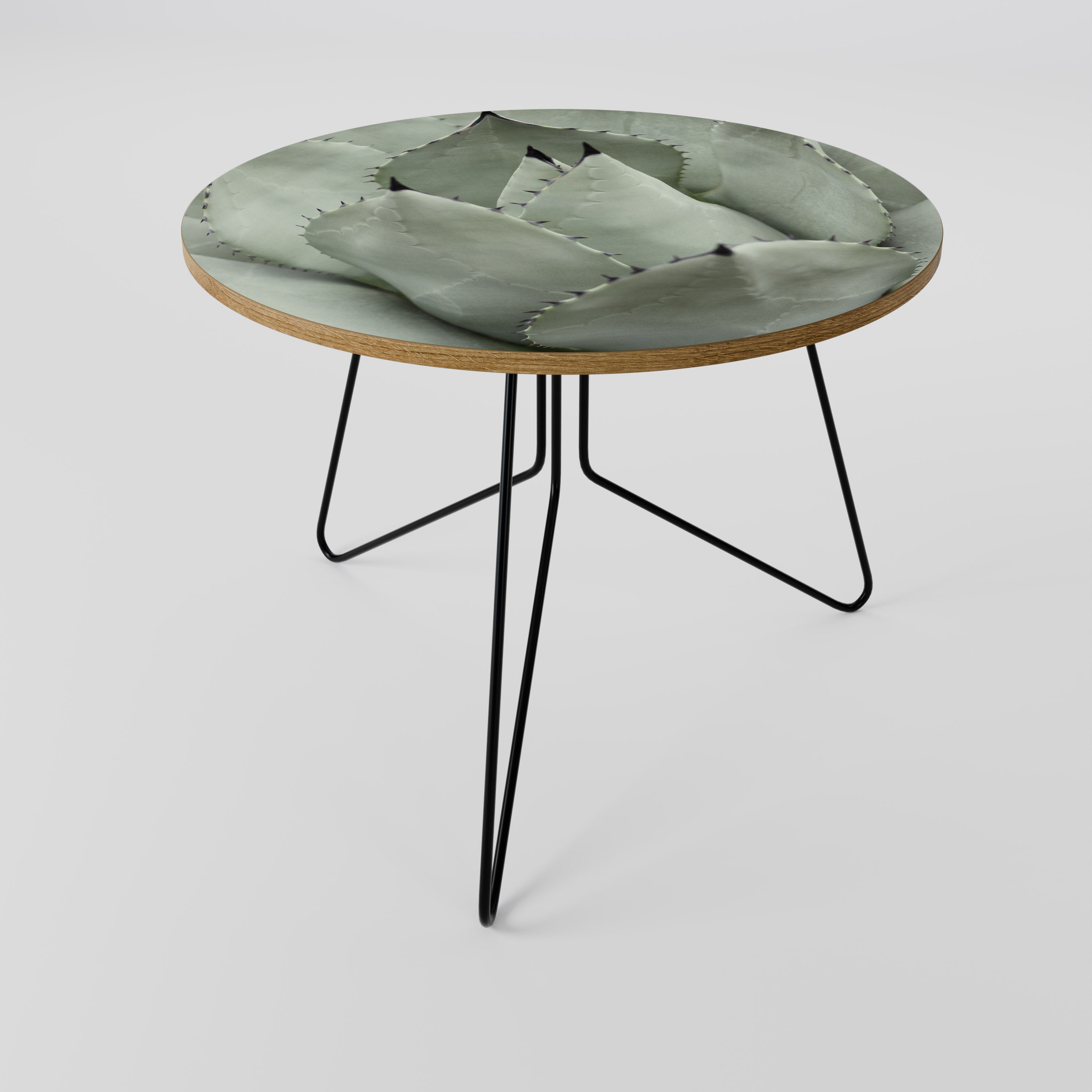 MYSTICAL SUCCULENT DREAM Coffee Table 69