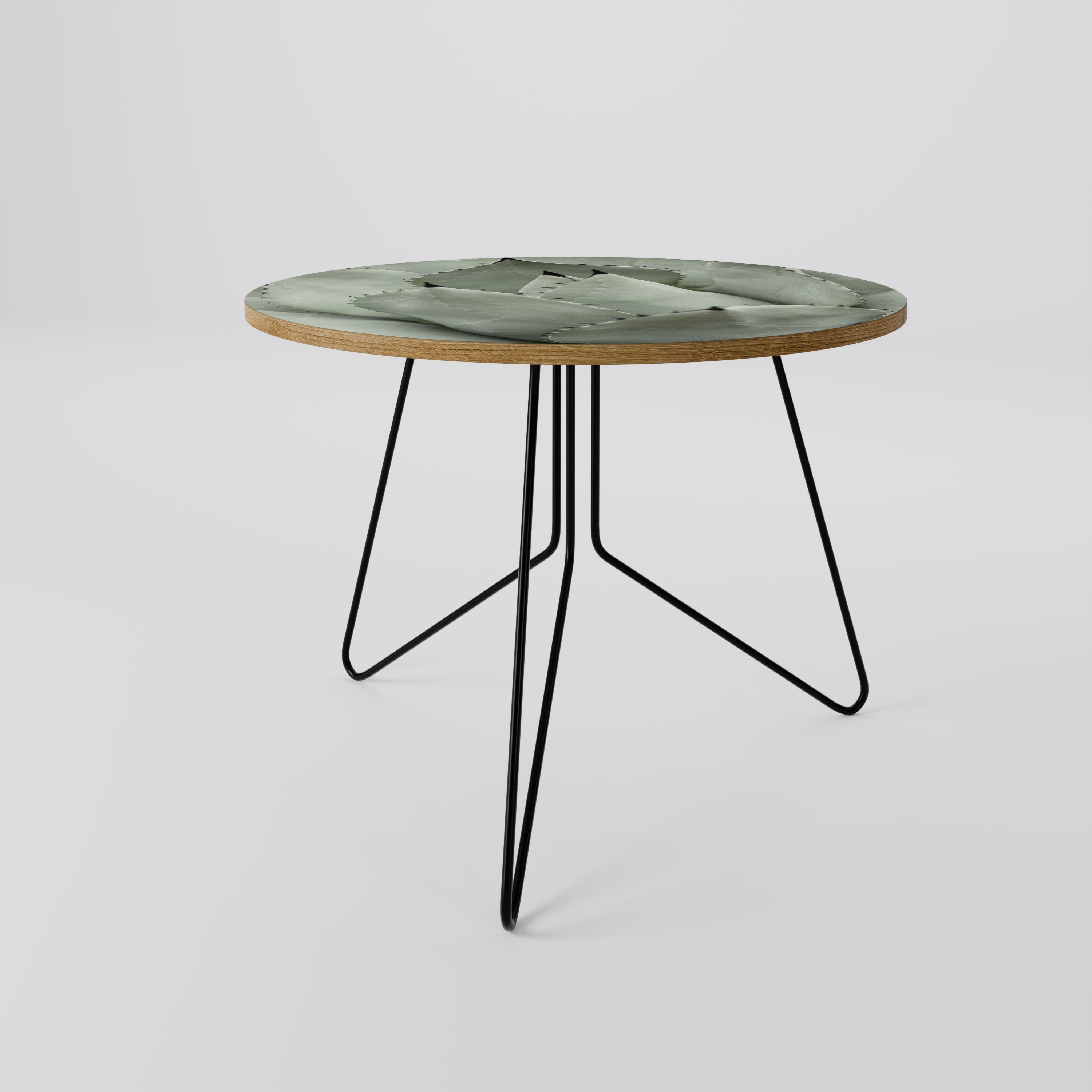 MYSTICAL SUCCULENT DREAM Coffee Table 69