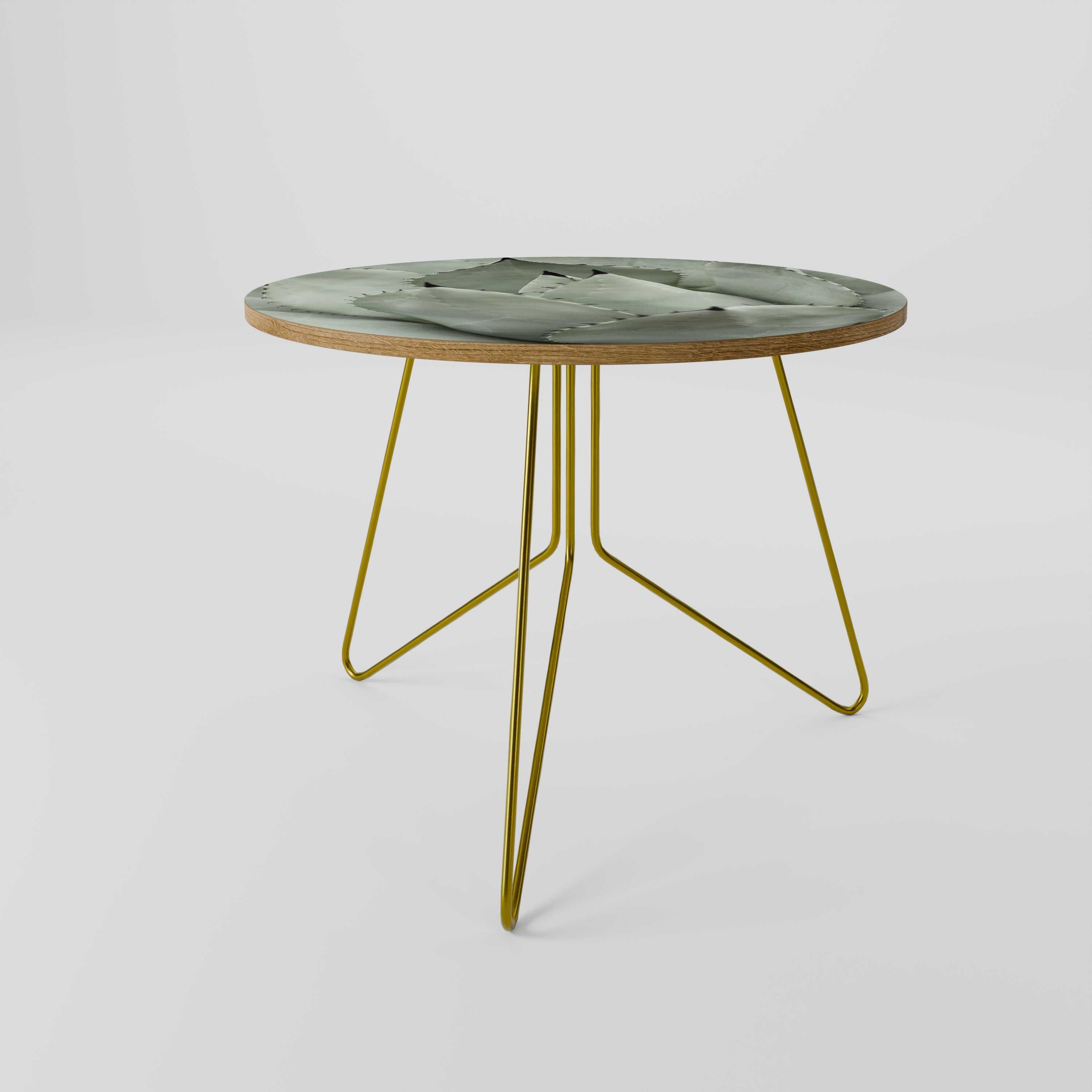 MYSTICAL SUCCULENT DREAM Coffee Table 69