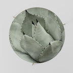 MYSTICAL SUCCULENT DREAM Couchtisch Ø 69 cm