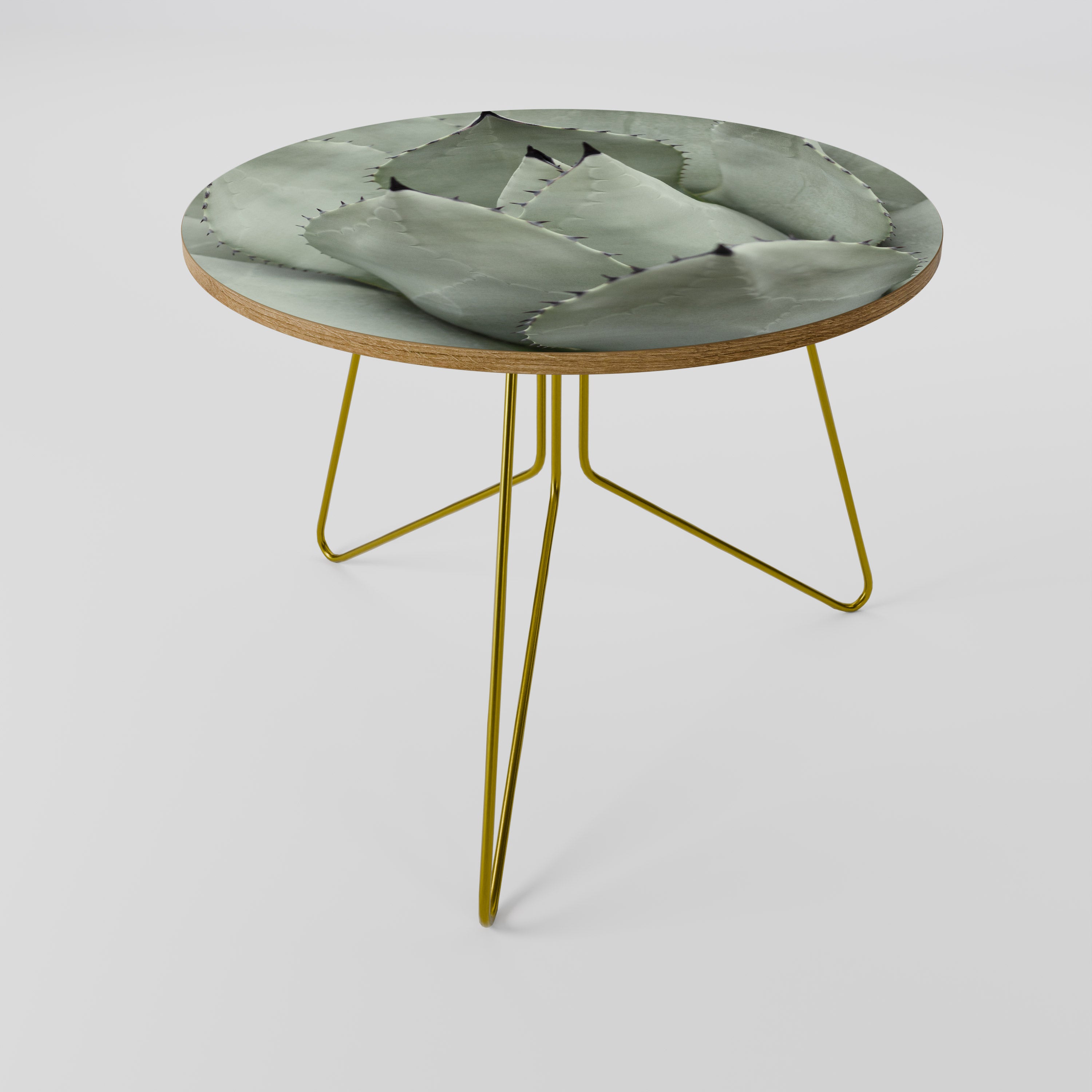 MYSTICAL SUCCULENT DREAM Coffee Table