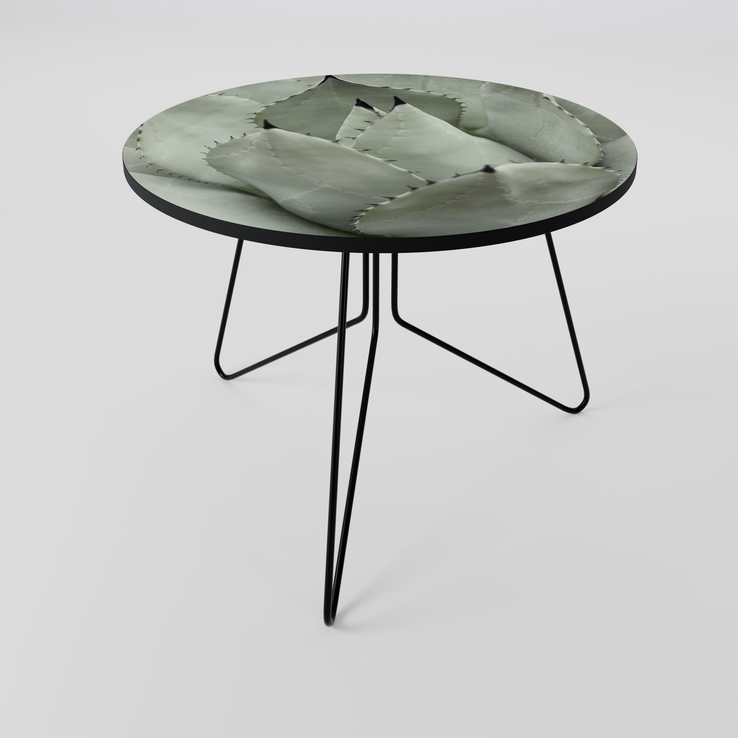 MYSTICAL SUCCULENT DREAM Coffee Table 69