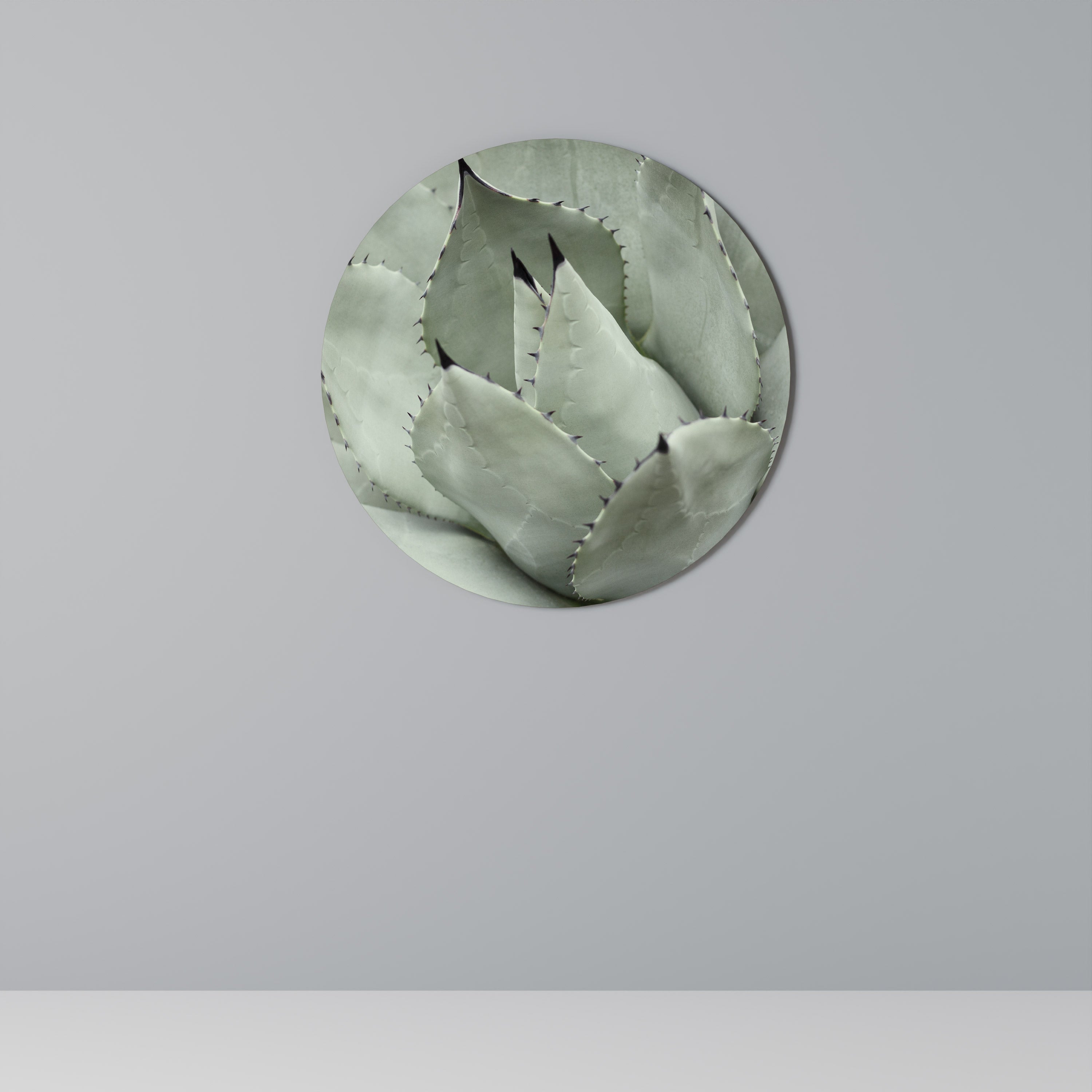 MYSTICAL SUCCULENT DREAM Runde Wanddekoration Ø 69 cm