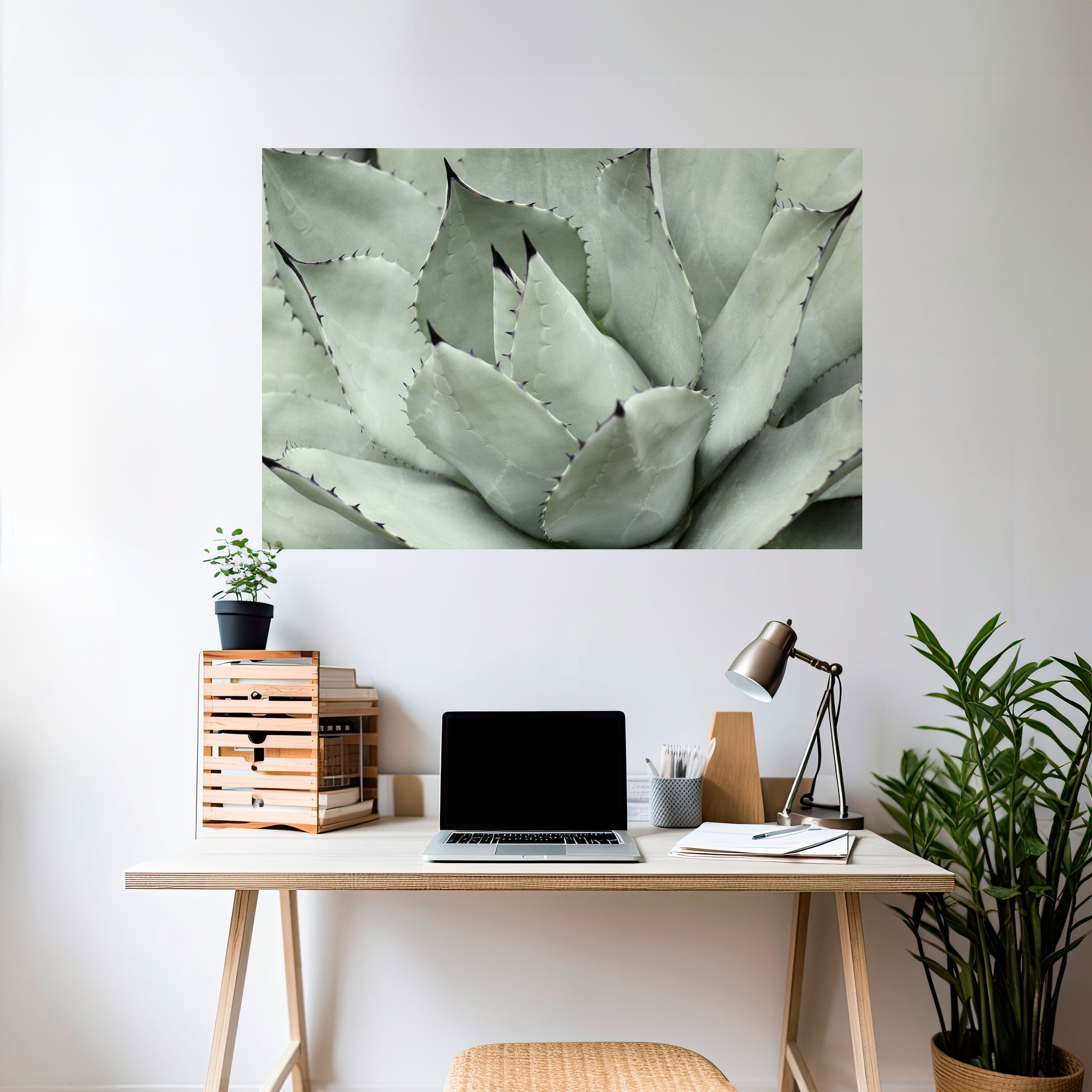 MYSTICAL SUCCULENT DREAM Horizontales Poster zum Abziehen und Aufkleben